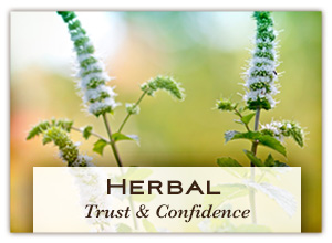 rareEARTH Naturals Find Your Mood Herbal